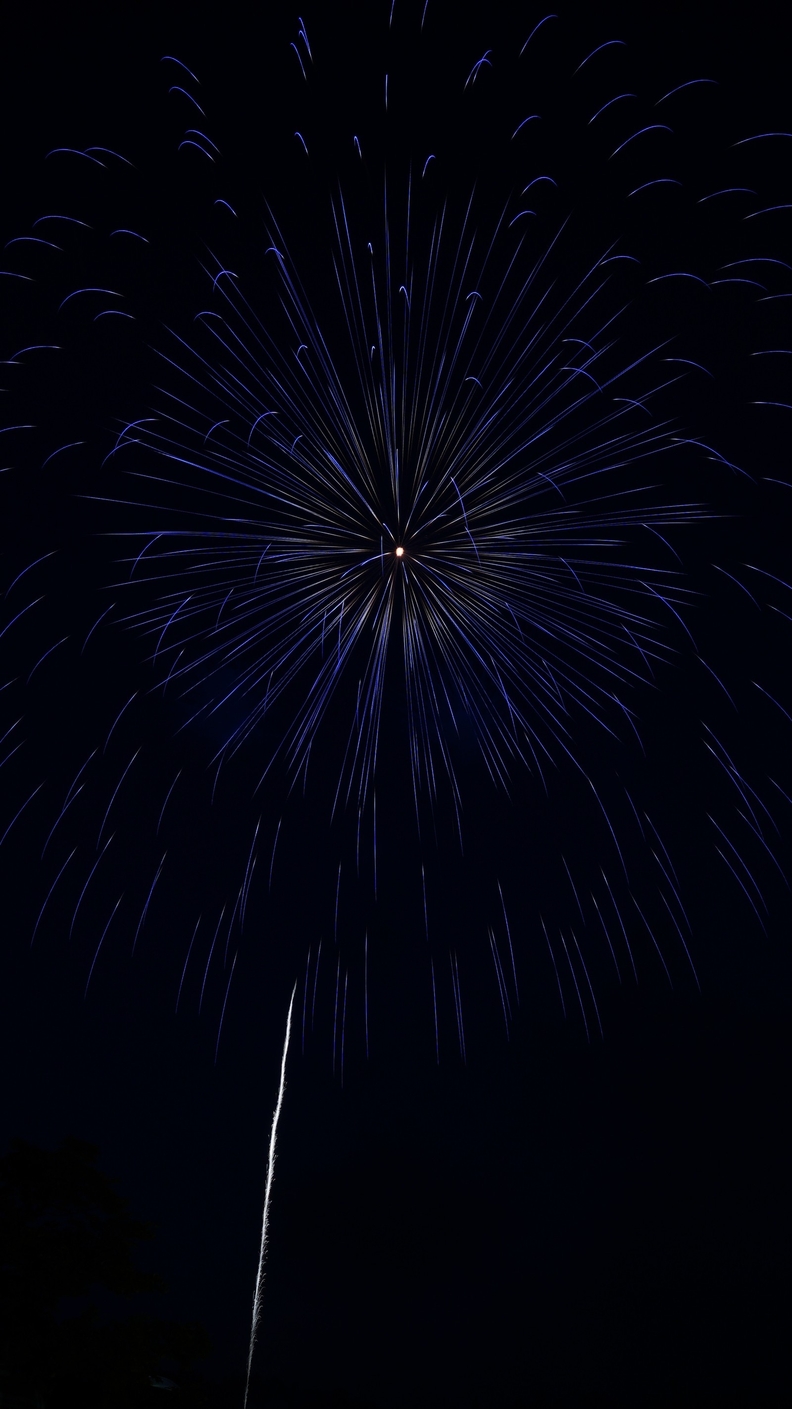 Fireworks in the sky with a jet flying through it (fireworks, black, darkness, night, midnight)