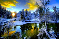 Serene Winter Wonderland: A Reflective Lake Amidst Snow-Covered Trees at Sunset