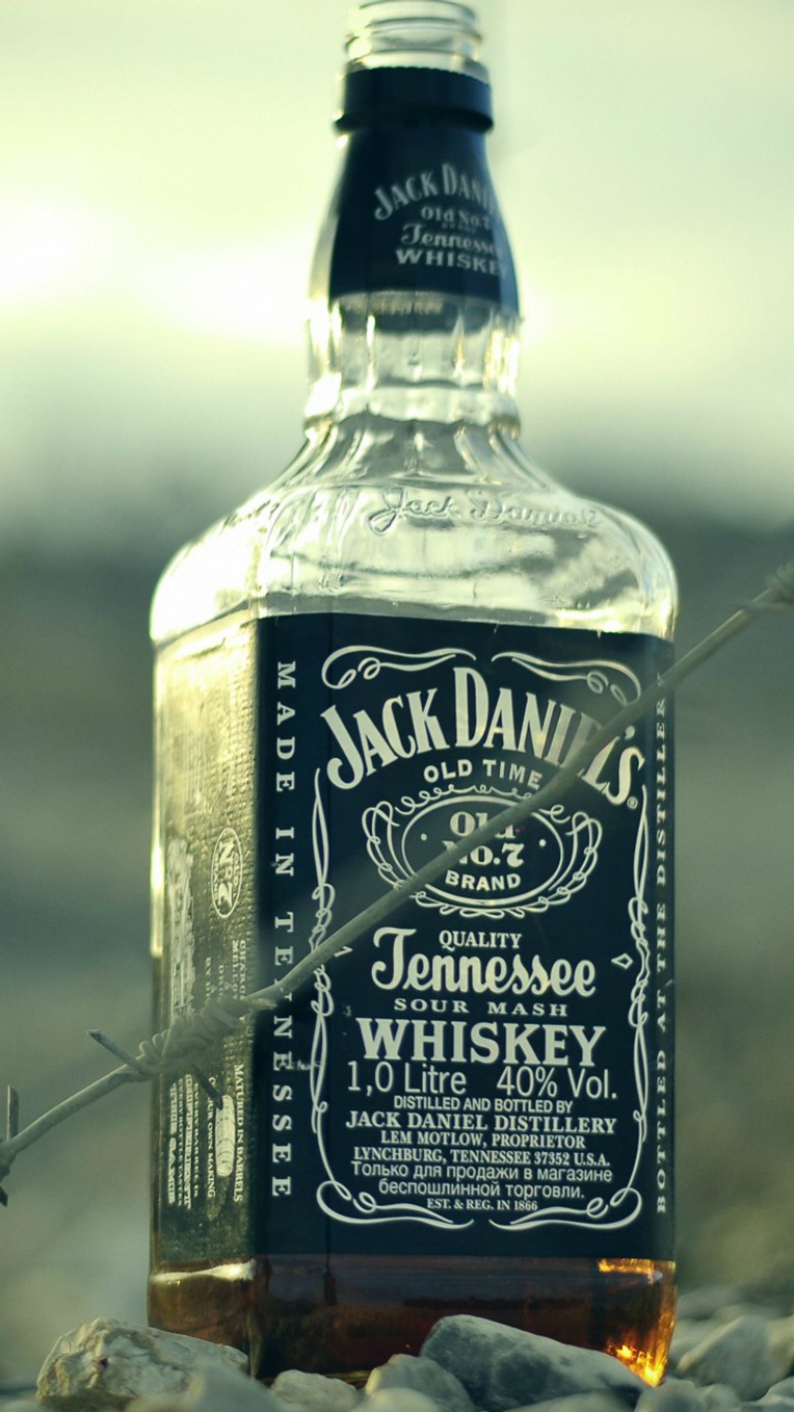 Eine flasche jack daniels whiskey sitzt auf einem stein (alkohol, jack daniels, whiskey)