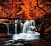 Cascada de agua de otoño entre el follaje vibrante