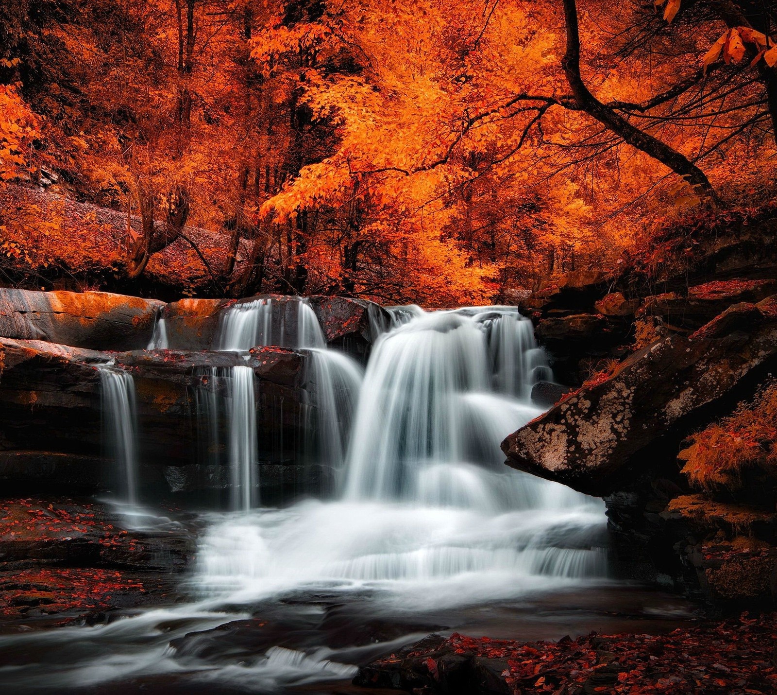 Uma cachoeira na floresta com folhagens de outono e árvores (outono, natureza, cachoeiras)