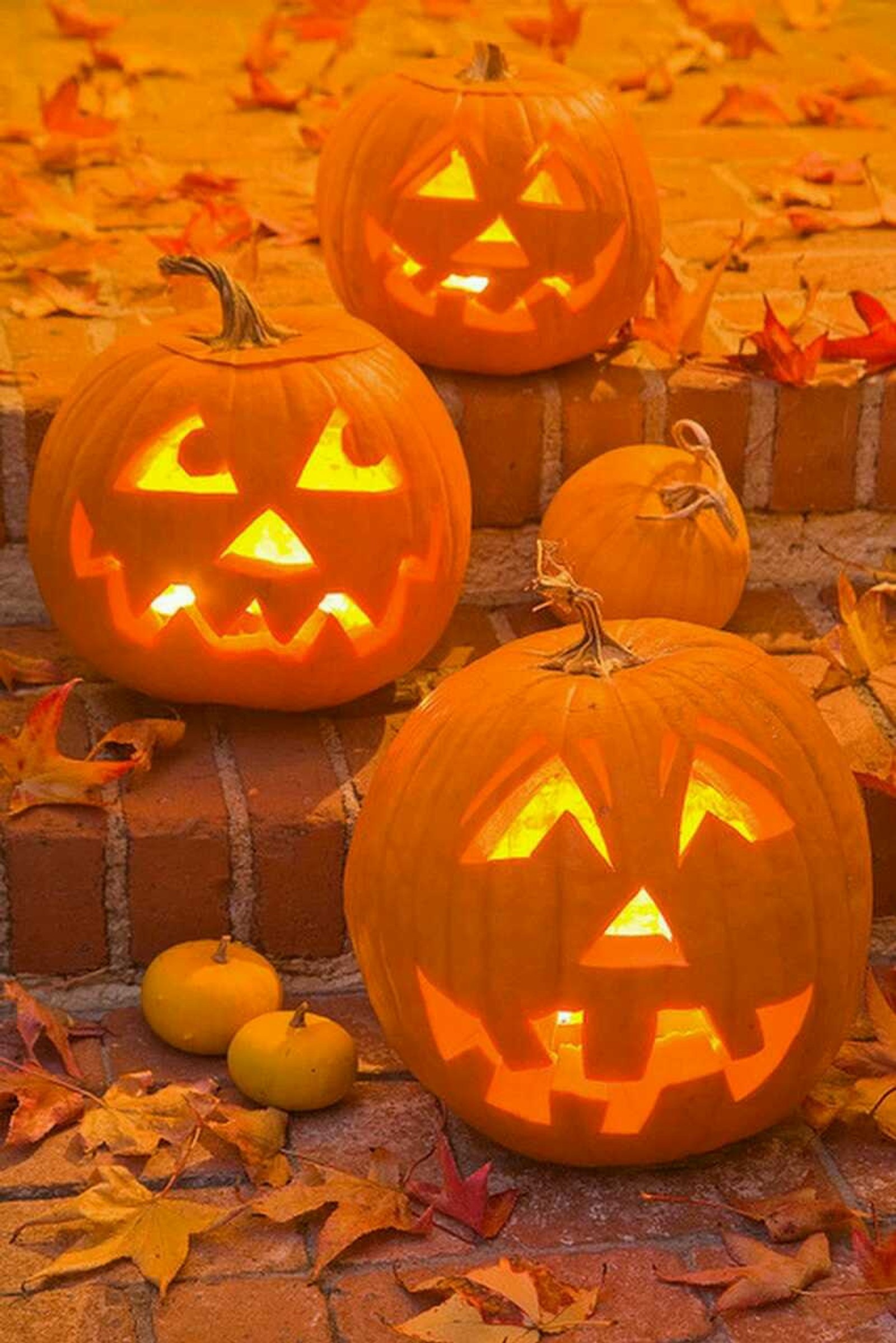 Three carved pumpkins sitting on a brick step with leaves (halloween, halloween walpapers, pumpkins)