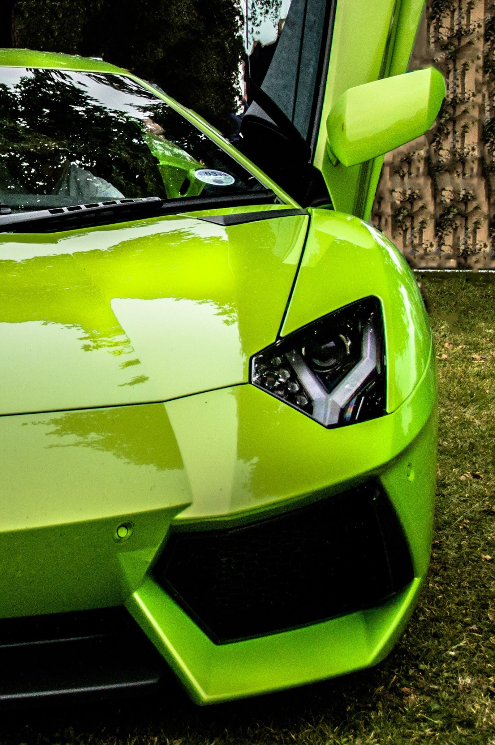 A close up of a green sports car parked in a grassy area (car, eyes, green, lamburghini, lime)