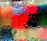 Colorful Bubble Patterns on a Wet Surface