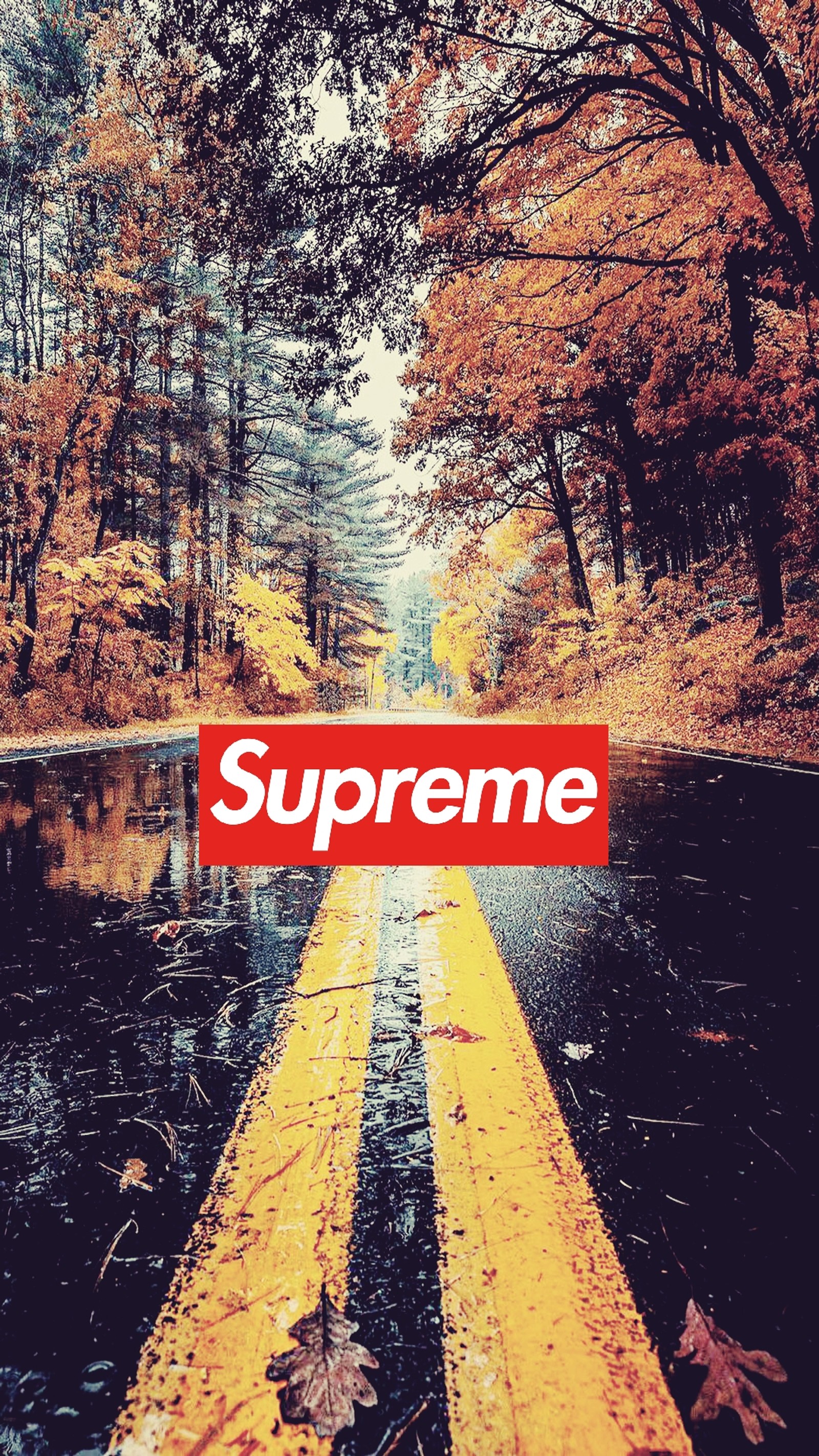 Logo supremo em uma estrada no meio de uma floresta (supreme, papéis de parede)