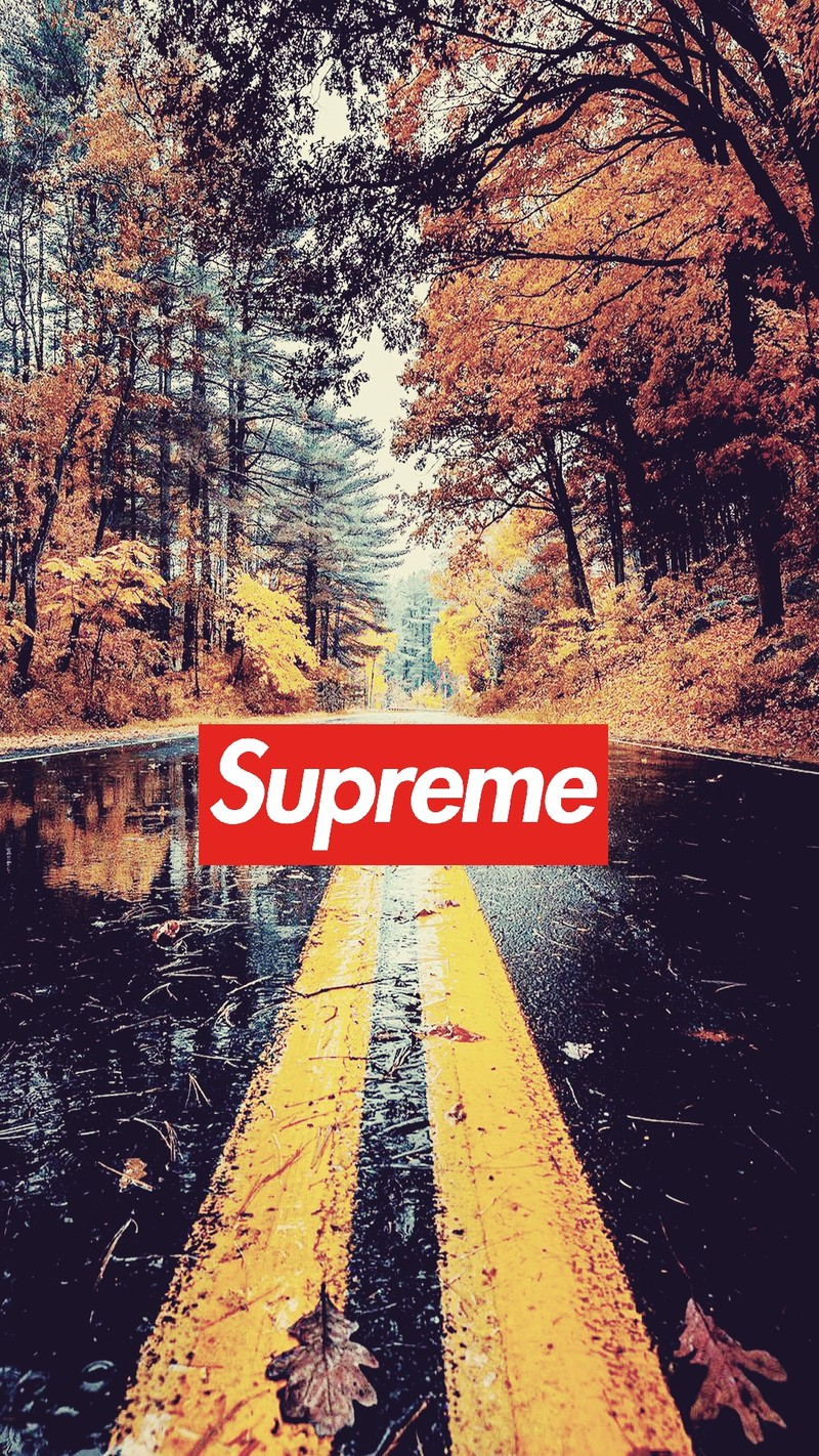 Логотип supreme на дороге посреди леса (supreme, обои)