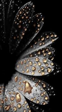 drops, flower, golden, rain wallpaper