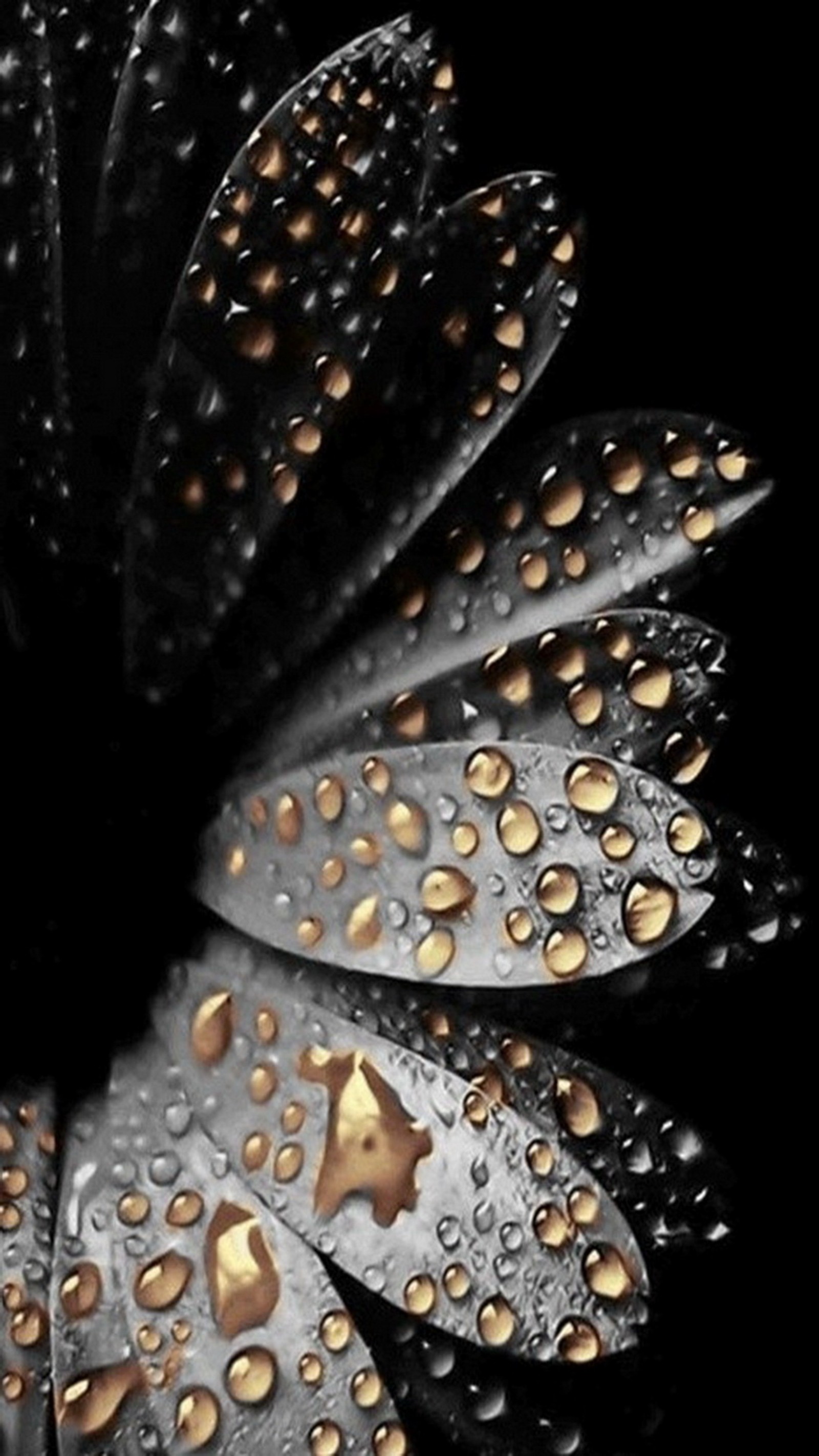 A close up of a flower with water droplets on it (drops, flower, golden, rain)