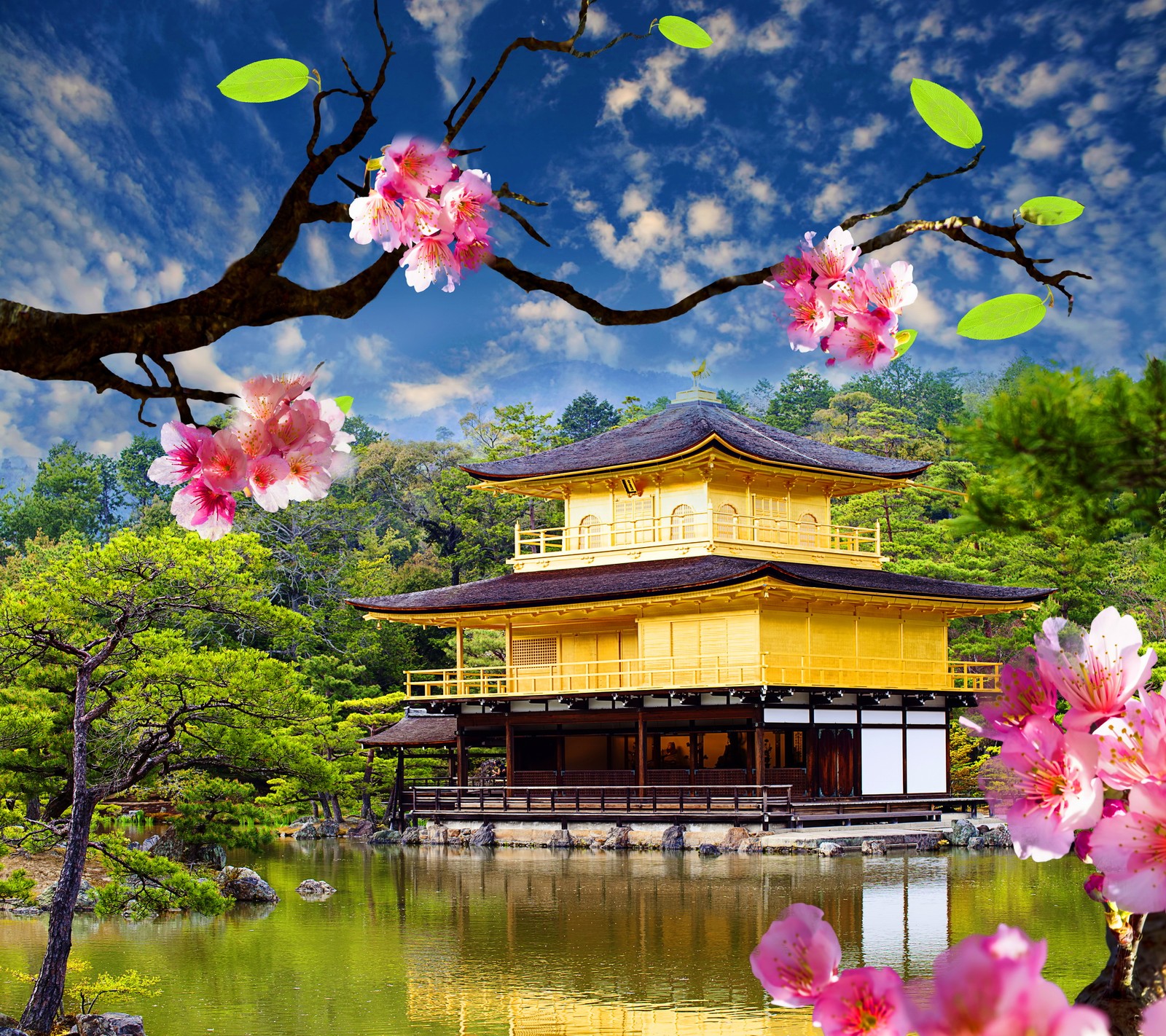 A close up of a tree with flowers near a pond (asian, blosso, golden, nature, pavilion)