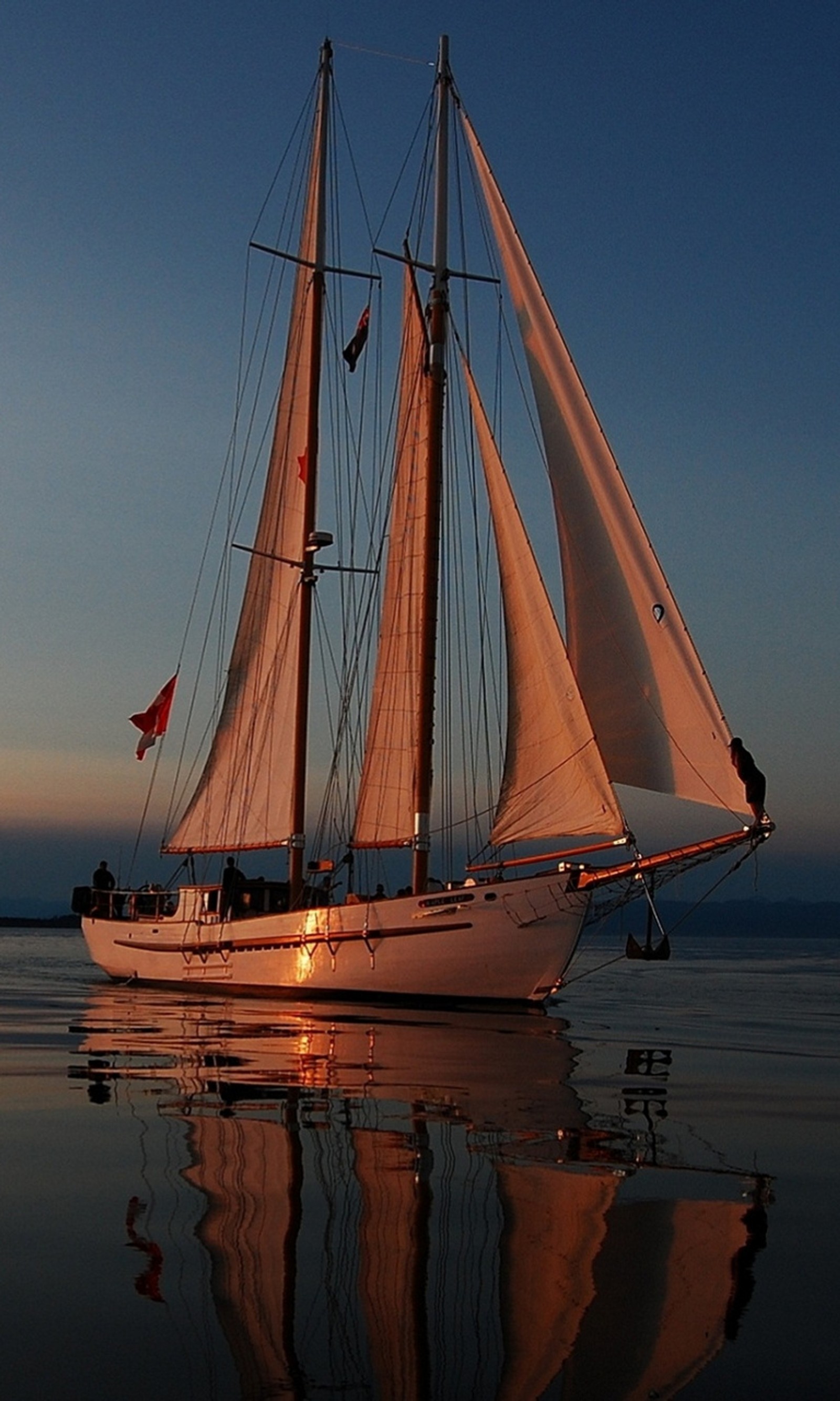 Vela com velas brancas em água calma ao anoitecer (barco, lago, oceano, vela, navegação)