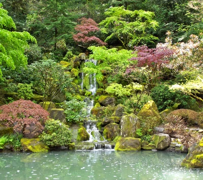 Jardín exuberante con cascada y estanque tranquilo