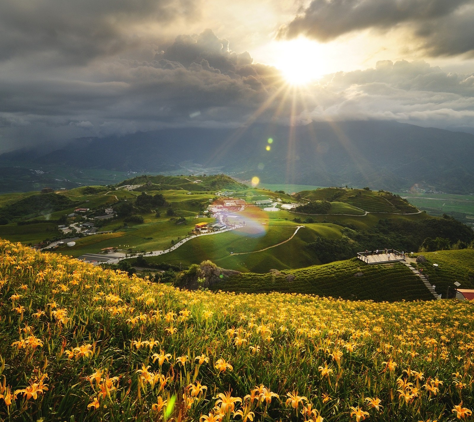 Uma visão de um vale com flores amarelas e um céu nublado (bonito, hd, montanha, seseyanoo)