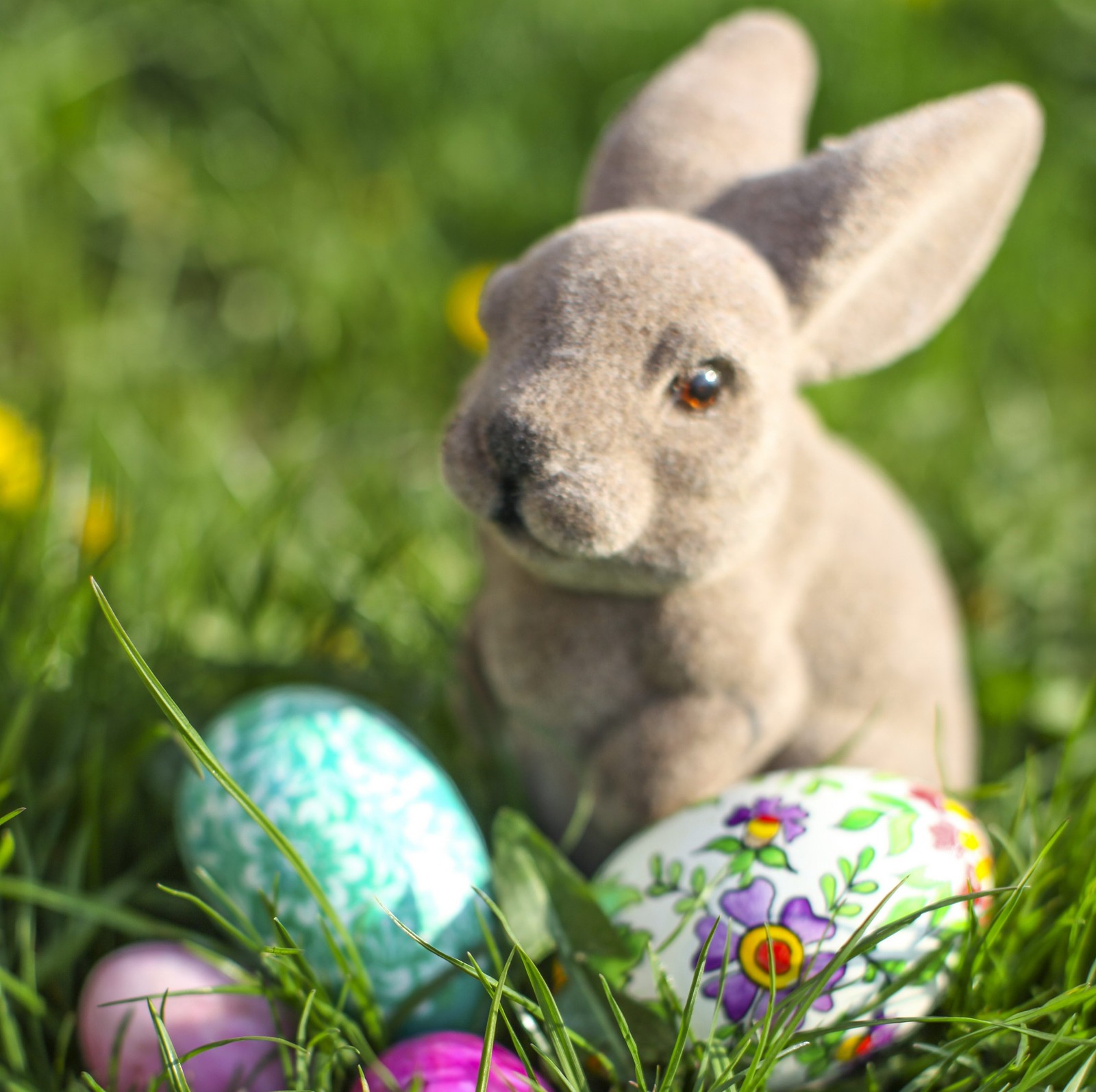 Un conejo de peluche sentado en la hierba con huevos de pascua (pascua, nature eggs, pfurman, polonia)