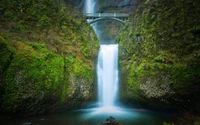 Multnomah Falls: Ein ruhiger Wasserfall inmitten üppiger Vegetation in der Columbia River Gorge