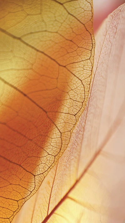 Motif de feuille ambre et orange : un mélange coloré de nature et de technologie