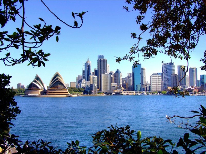 Аэрофотоснимок силуэта города с водоемом (сиднейский оперный театр, sydney opera house, город, горизонт, дневное время)