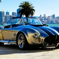 ac cobra, concepto ford shelby cobra, coche, shelby mustang, coche deportivo