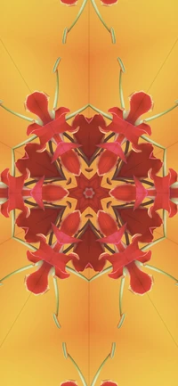 Symmetrical Floral Pattern in Amber and Red: An Artistic Display Inspired by iOS 17