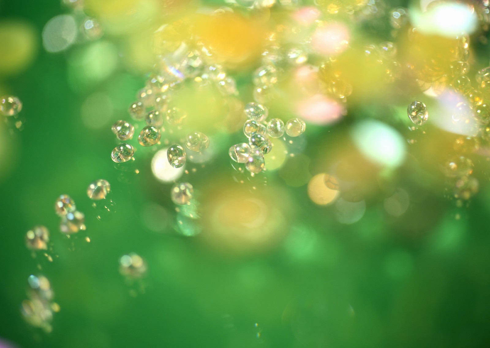 Bubbles floating in a green bowl with a green background (green, water, moisture, dew, grass)