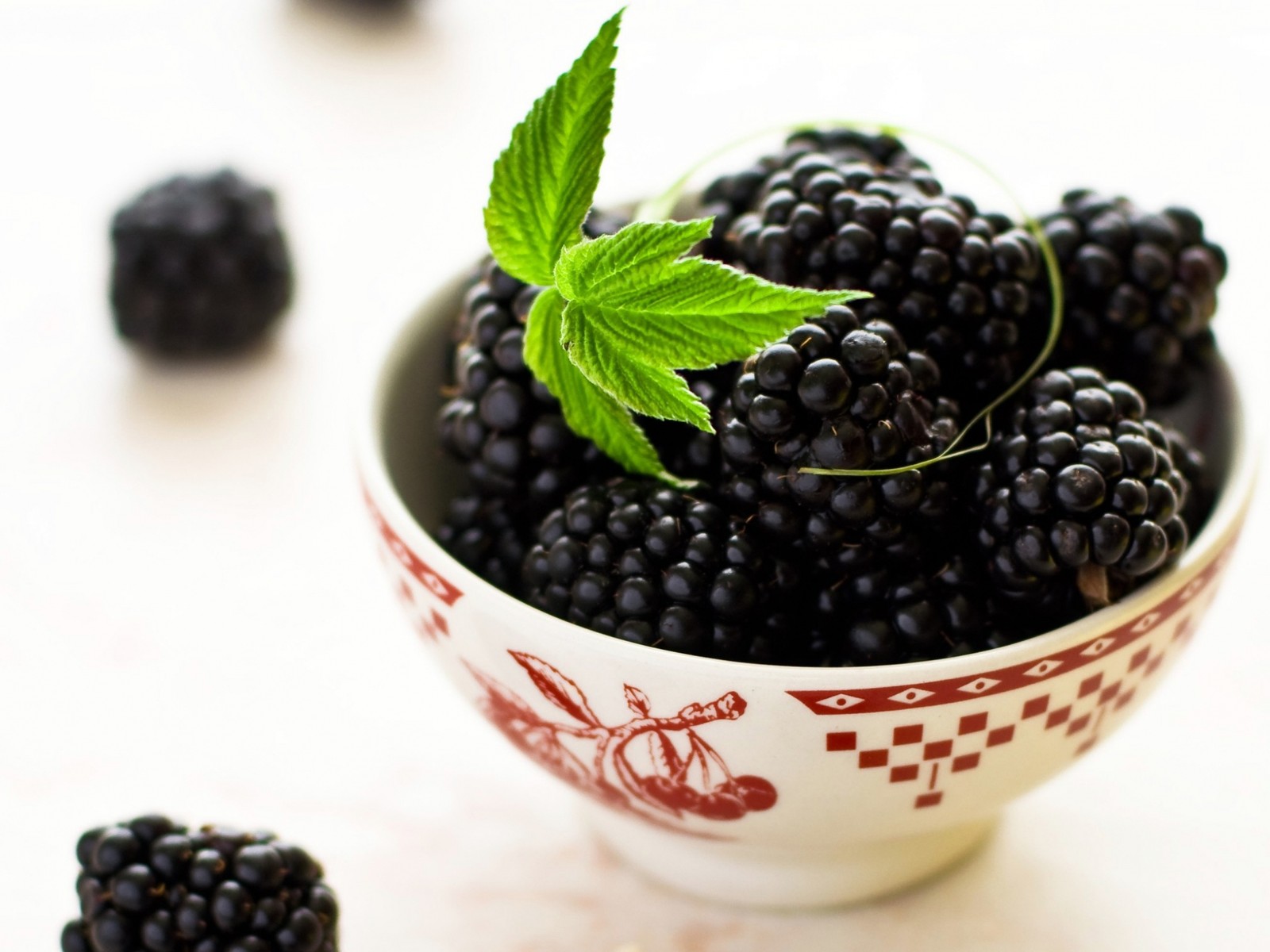 There is a bowl of blackberries with a leaf in it (fruit, berry, natural foods, food, superfood)