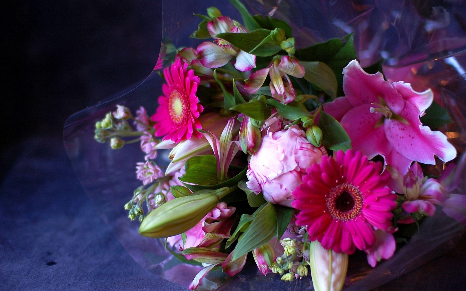 Un bouquet de fleurs dans un sac en plastique transparent (dessin floral, bouquet de fleurs, pivoines, plante à fleurs, roses de jardin)