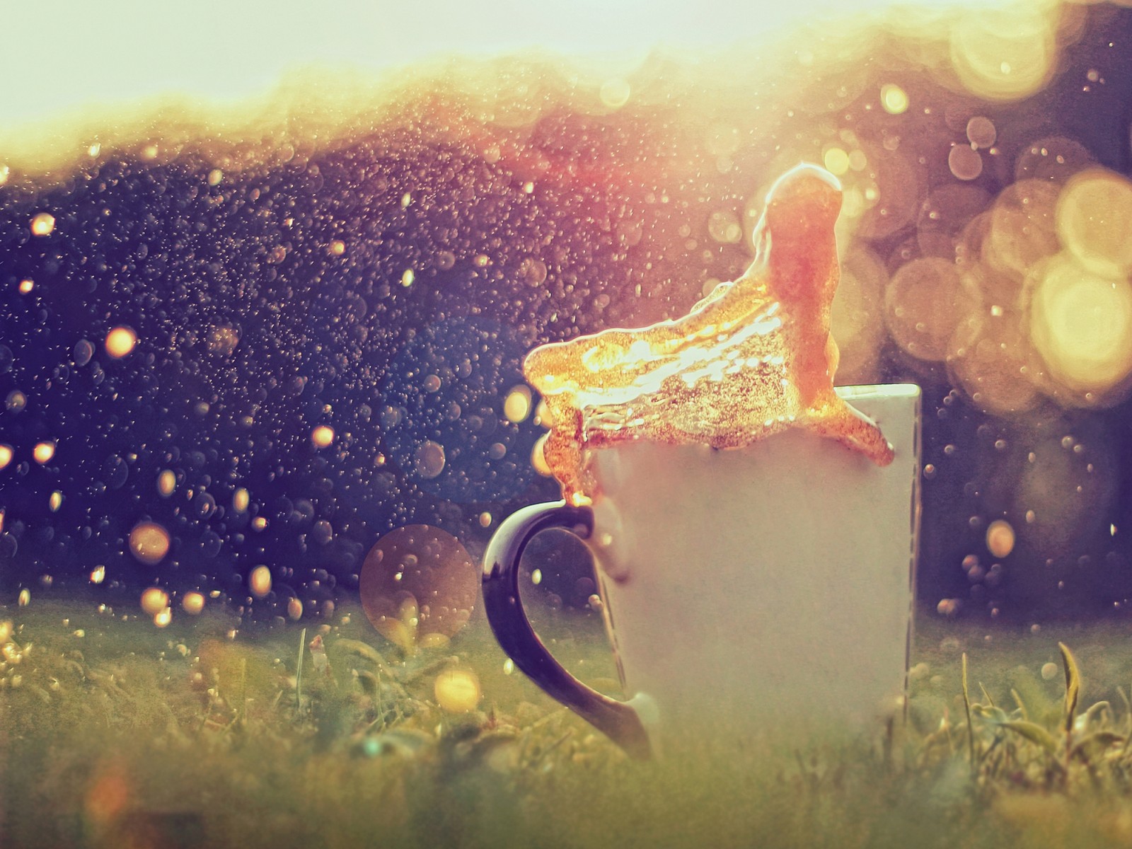 Hay una taza con un trozo de comida dentro (mañana, amarillo, luz solar, naturaleza, felicidad)