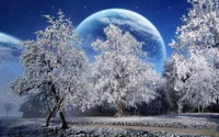 winter, snow, nature, frost, tree wallpaper