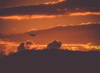 Silhouettierte Flugzeug gegen einen lebhaften Sonnenuntergangshimmel