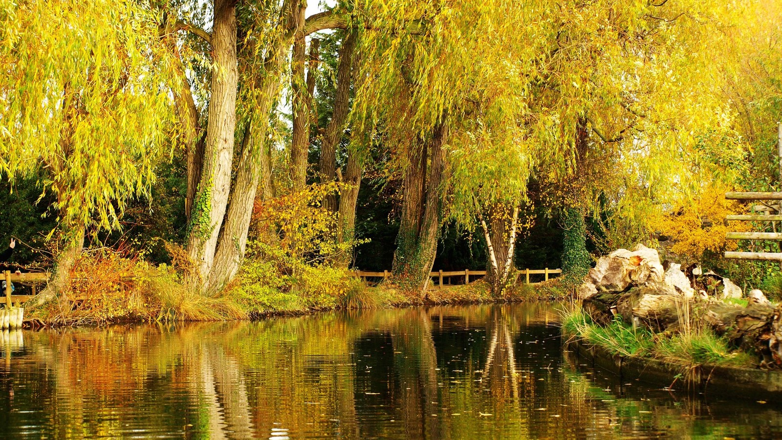 Uma vista de um lago com um banco e árvores ao fundo (tanque, árvore, natureza, reflexo, bayou)