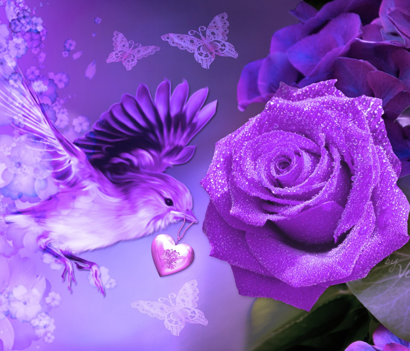 Purple roses and a bird with a heart in the middle (bird, flower, nature, purple, rose)