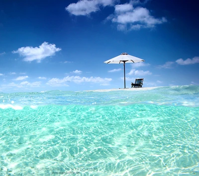 playa, naturaleza, mar, verano