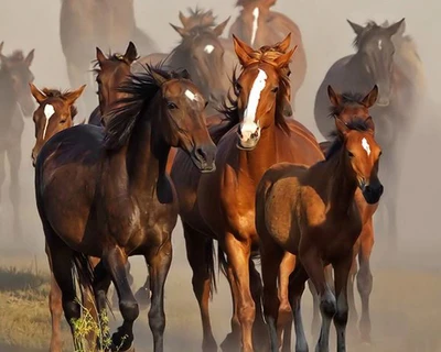 Un troupeau de chevaux majestueux se déplaçant gracieusement à travers des environs brumeux.