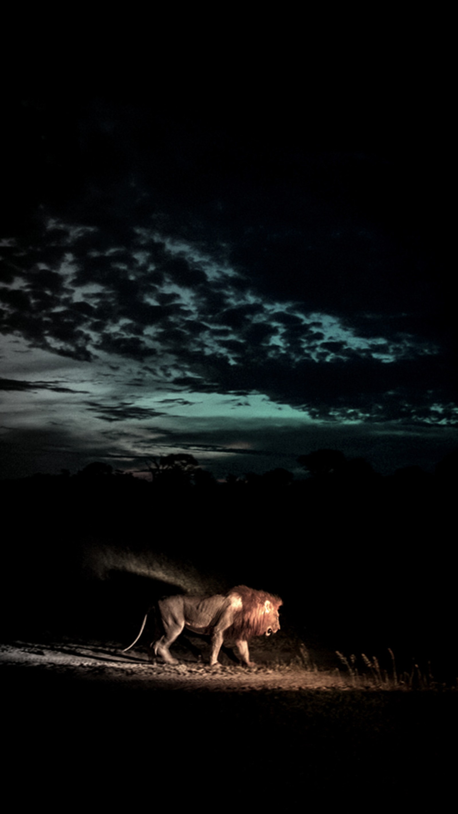 Une girafe marchant dans l'obscurité de la nuit avec une pleine lune en arrière-plan (le lion, sauvage)