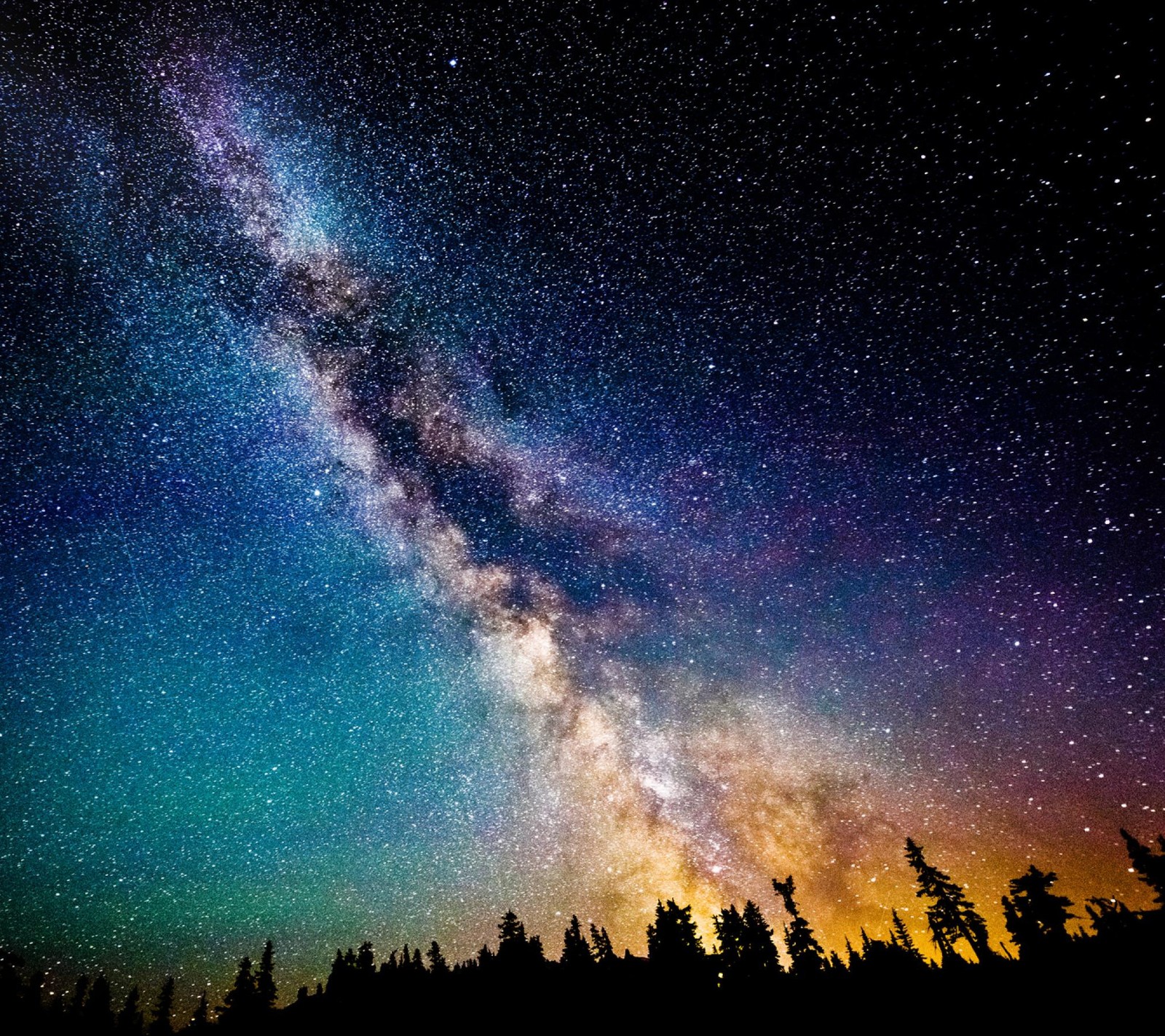 A via láctea e as estrelas acima das árvores no céu noturno (galáxia, noite, estrela, estrelas)