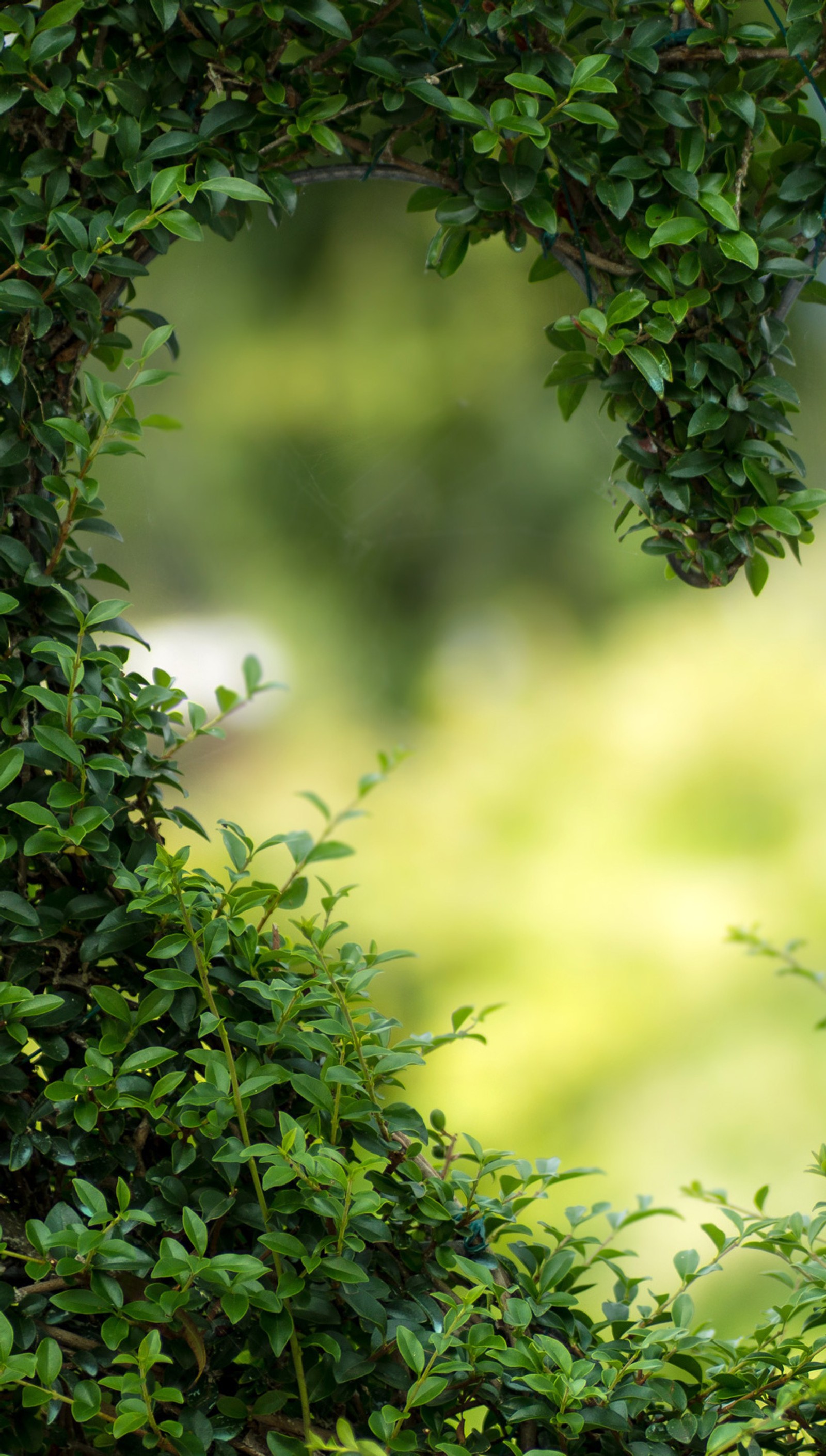 There is a bird sitting on a tree branch in the middle of a bush (green, heart, leaves)