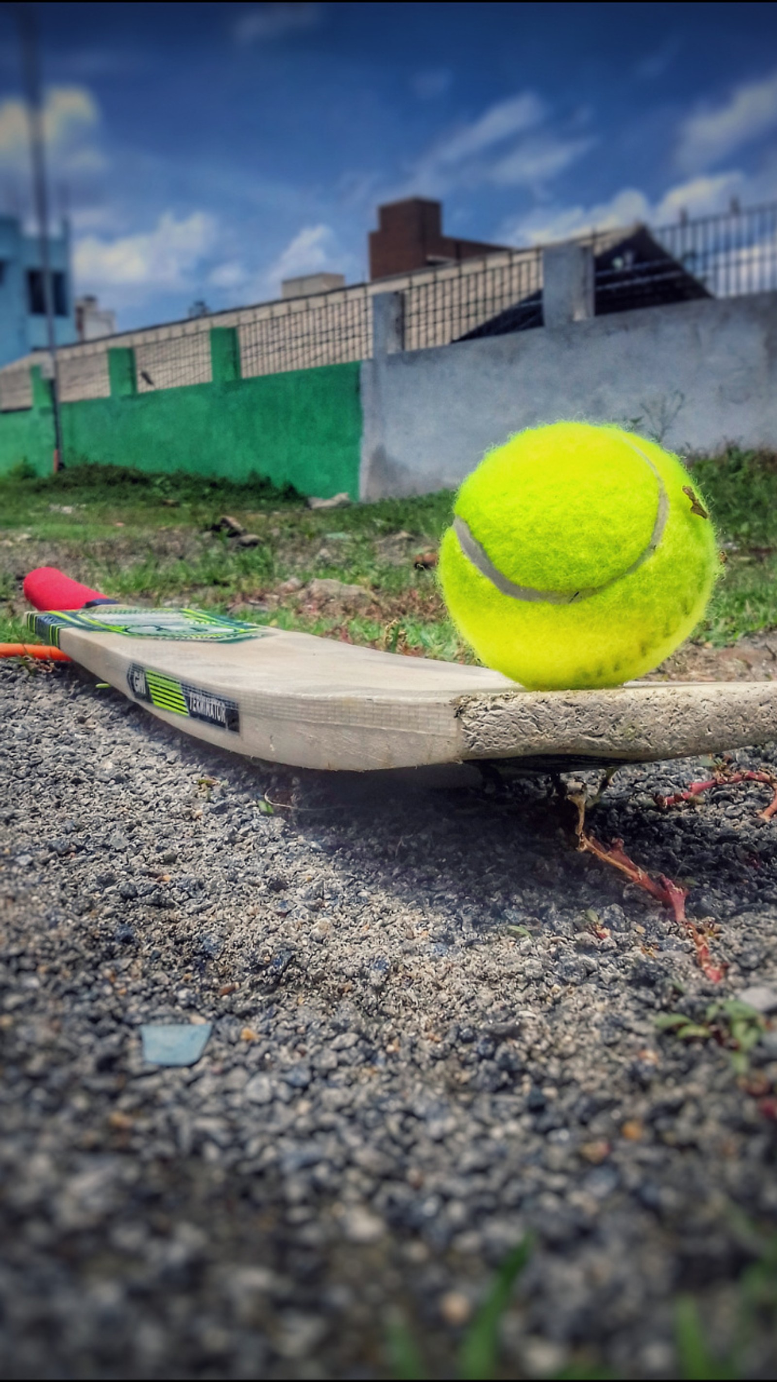 There is a tennis ball on a skateboard with a tennis racket (ball, bat, cricket)