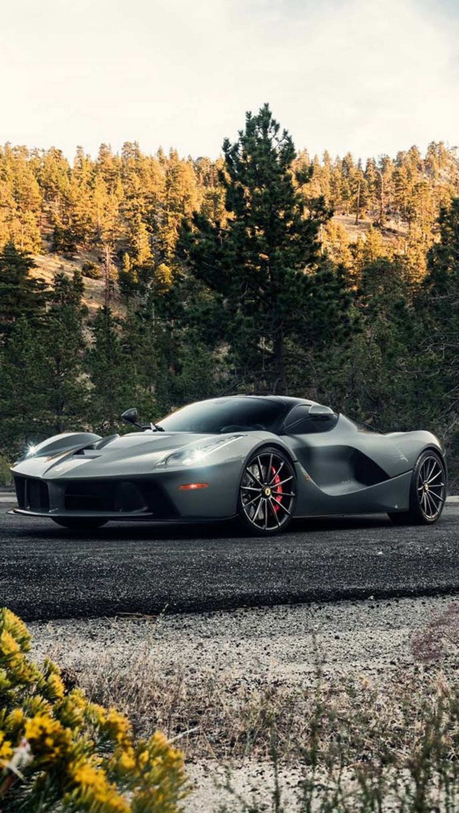 A grey sports car driving on a road near a forest (car, ferrari, laferrari, new)