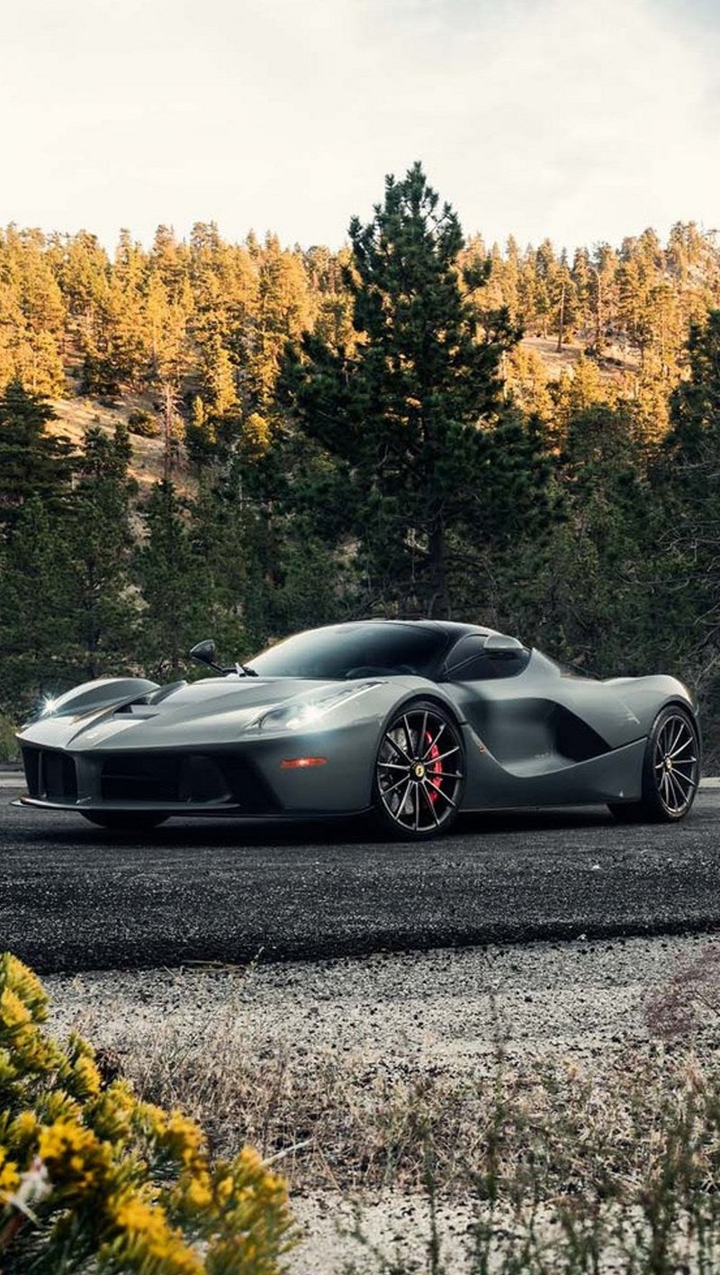 Серый спортивный автомобиль, едущий по дороге рядом с лесом (машина, laferrari, новый)