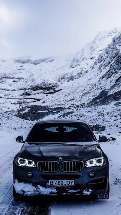 bmw, cars, snow