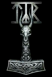 band, musik, tyr, tyr band, wikinger