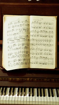 buch, musik