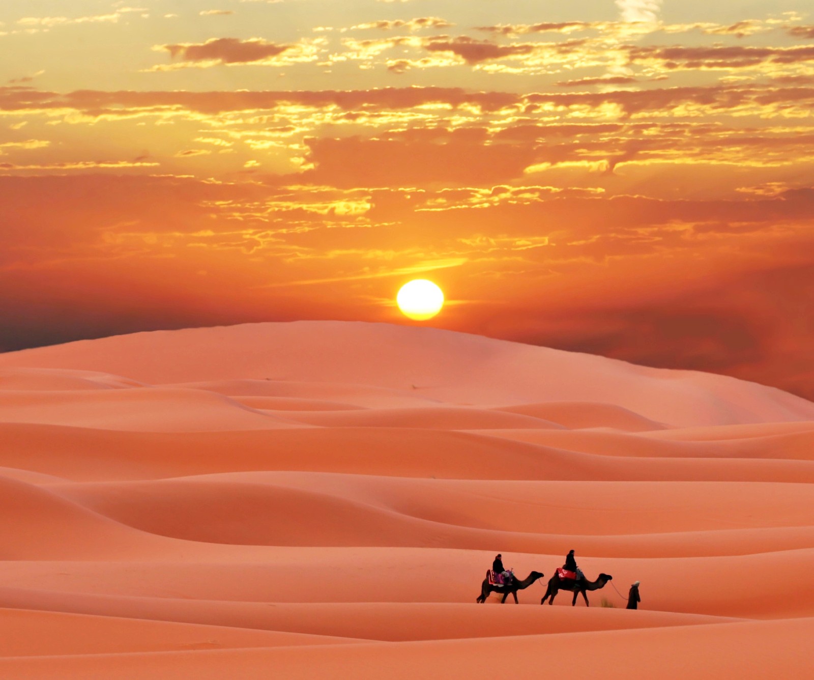 Araffes in the desert with a sunset in the background (meem, rubab)