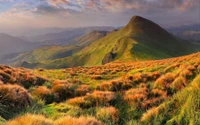 Lebendige Hochlandlandschaft mit sanften Hügeln und üppiger Vegetation