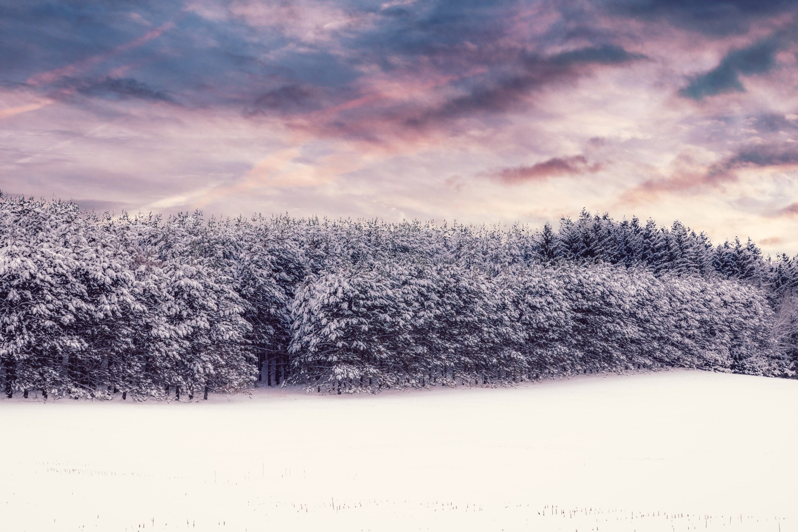 Schneebedeckte bäume auf einem feld mit einem himmel im hintergrund (winter, schnee, natur, wolke, natürliche landschaft)