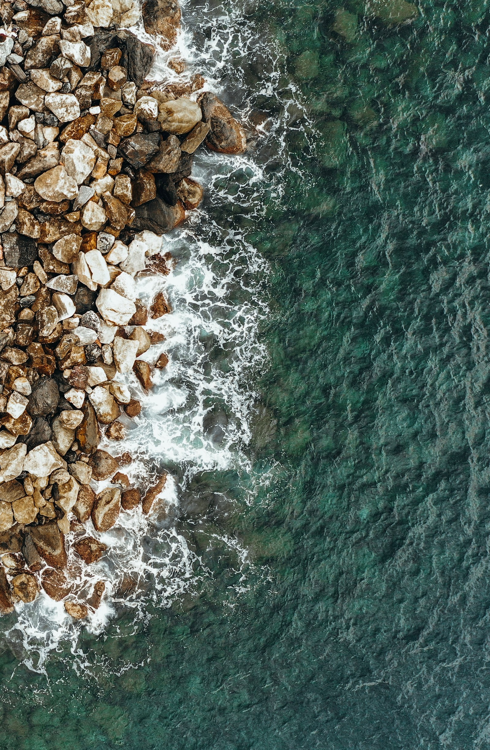 Jirafas están de pie sobre rocas cerca del océano y un barco (acantilado, paisaje natural, mar, recursos hídricos, ola)