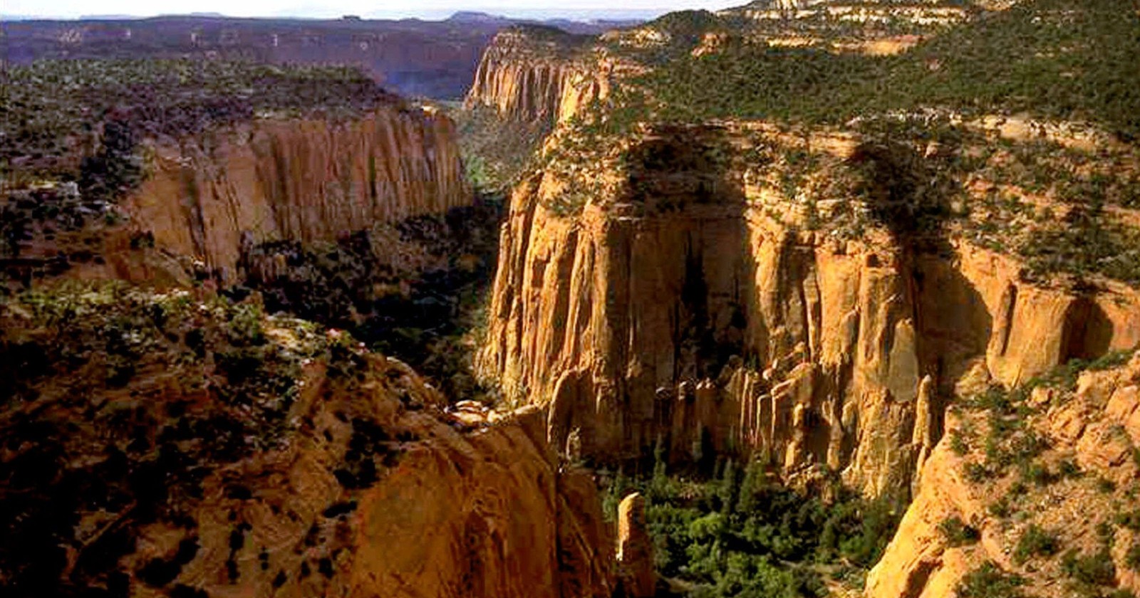 Vue panoramique d'un canyon avec une falaise escarpée (monument national, formation, escarpement, canyon, roche)