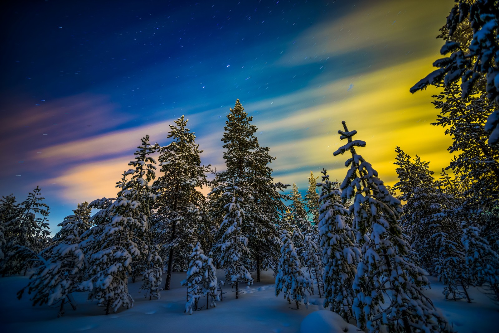 A night sky with stars and clouds above a snowy forest (snow, nature, winter, tree, freezing)