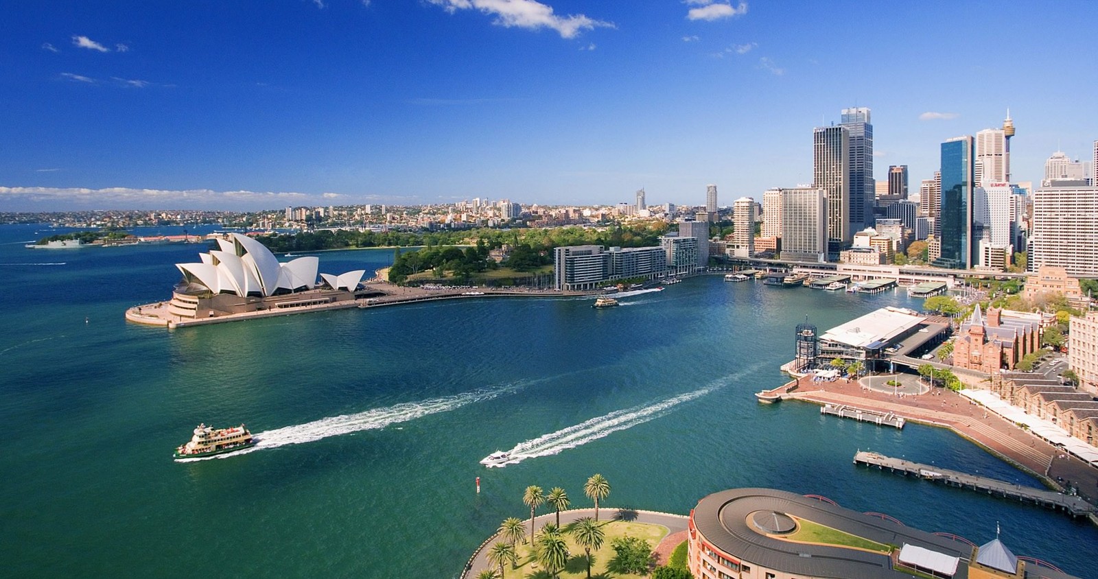 Vista aérea do horizonte da cidade e do porto com barcos na água (ópera de sydney, sydney opera house, bondi beach, cidade, área urbana)