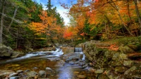 autumn, nature, stream, leaf, water wallpaper