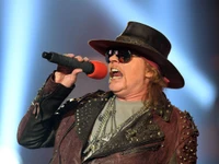 axl rose, guns n roses, ac dc, lead vocals, music artist wallpaper